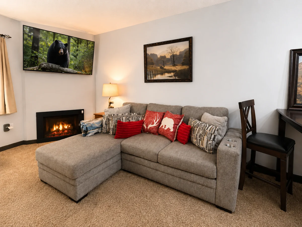 Condo in Gatlinburg property photo 4