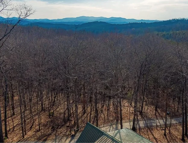 Luna Landing-Pet Friendly, Mtn Views, Hot Tub property photo 5