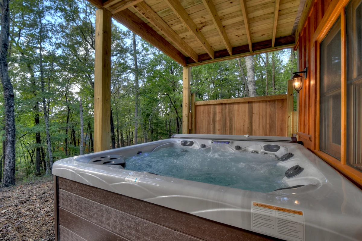 Property in Mineral Bluff property photo 2