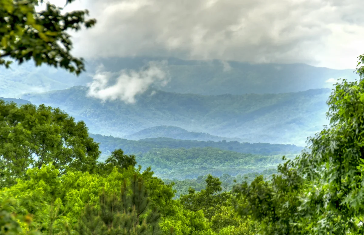 Property in Mineral Bluff property photo 4