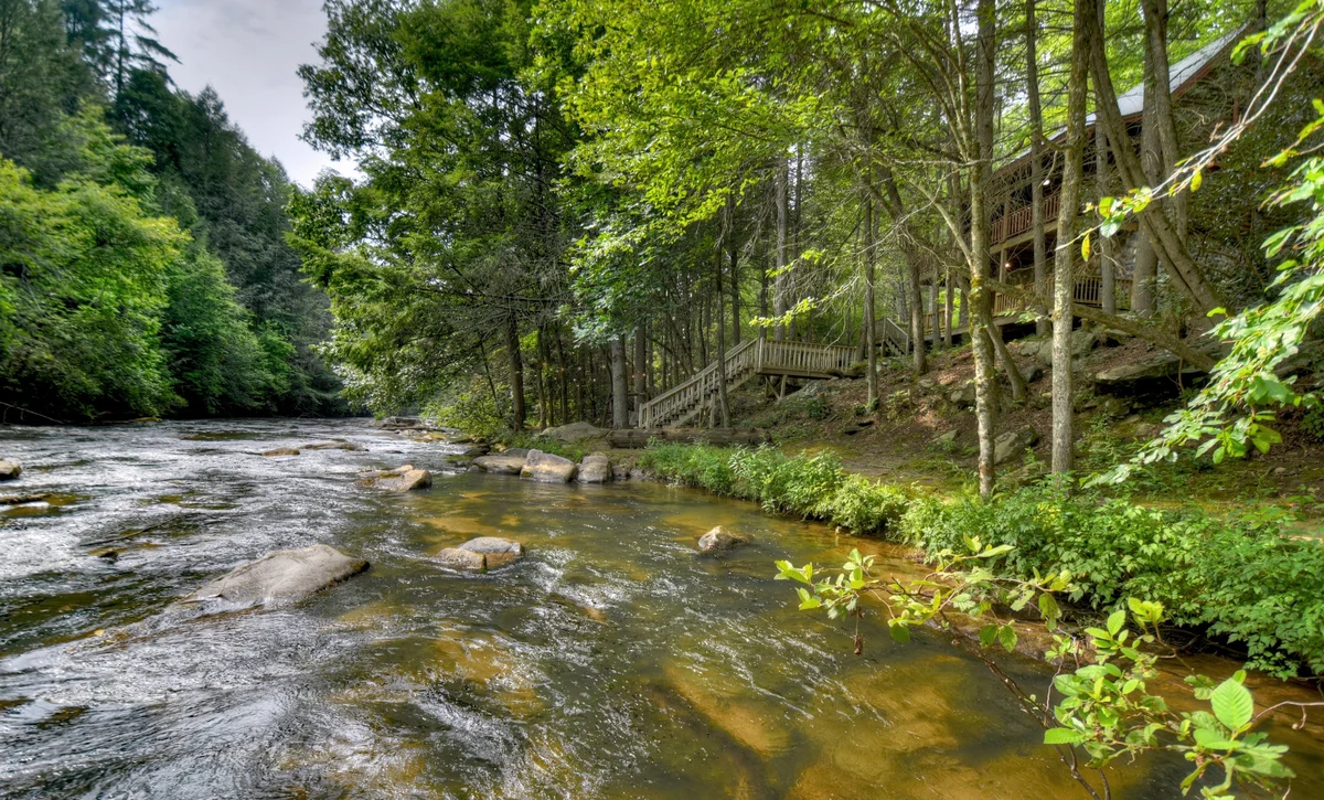 A Tranquil Place, Pet Friendly, Fish From Cabin property photo 3