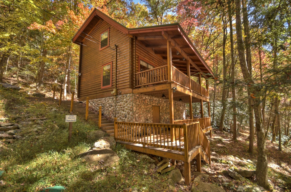 A Tranquil Place, Pet Friendly, Fish From Cabin property photo 2