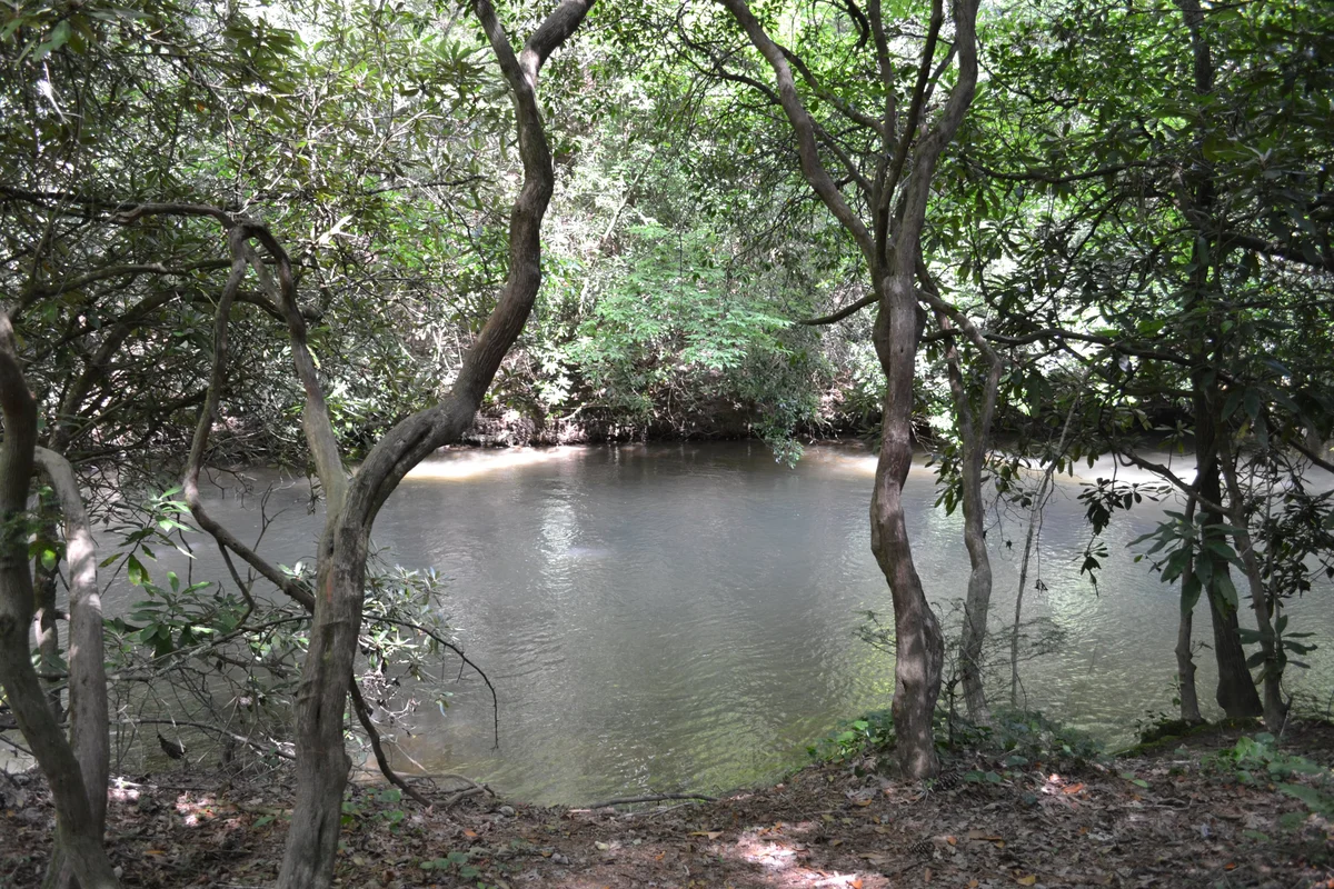 Sweetwater Escape, Hot Tub, Creek Access property photo 2