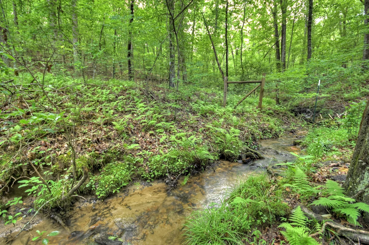 Stokes Haven, Pet Friendly, Hot Tub, Creek property photo 2