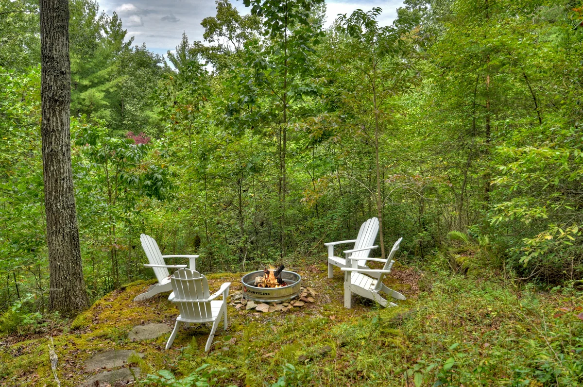 Property in Mineral Bluff property photo 2