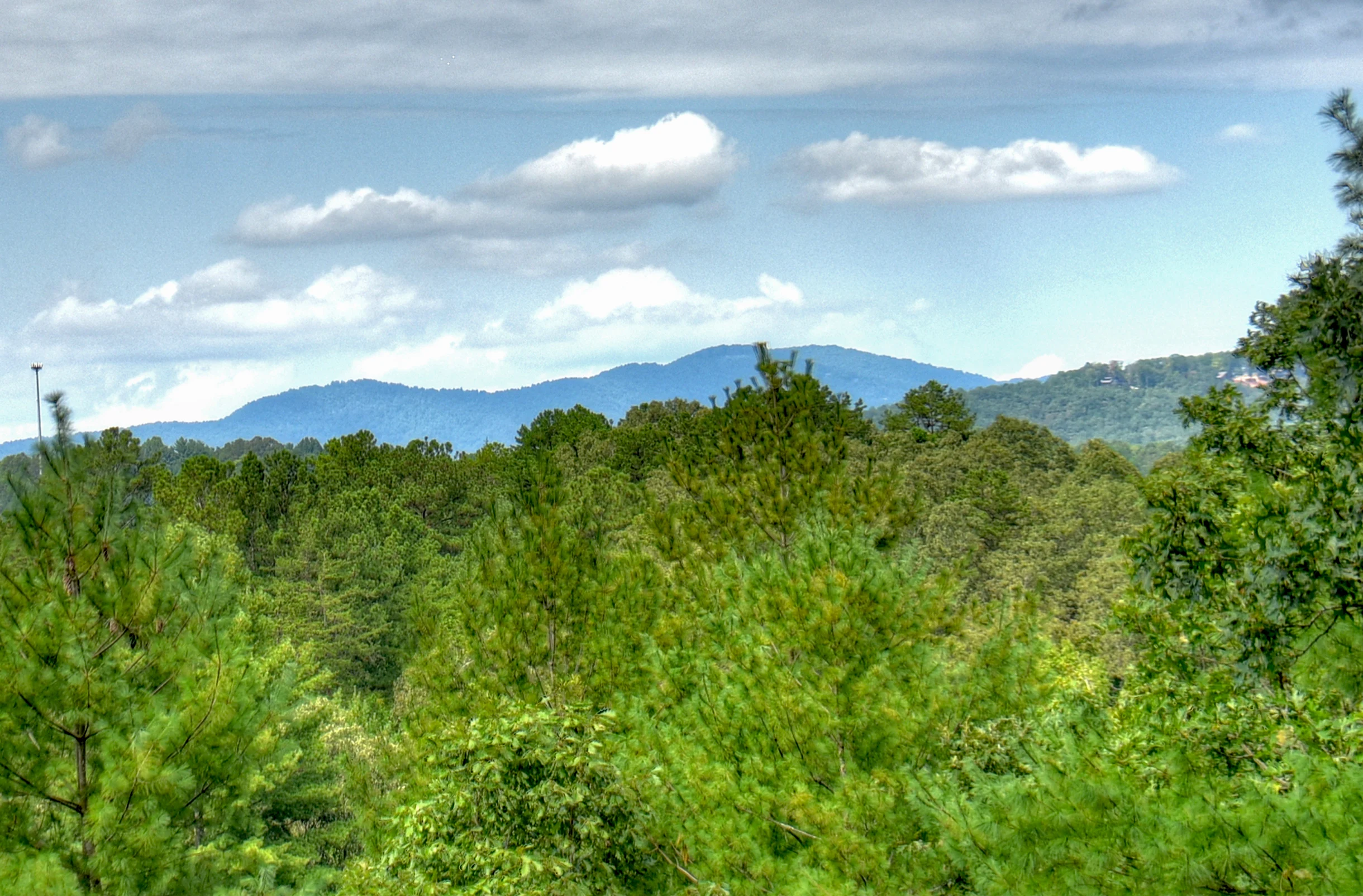 Property in Mineral Bluff property photo 4