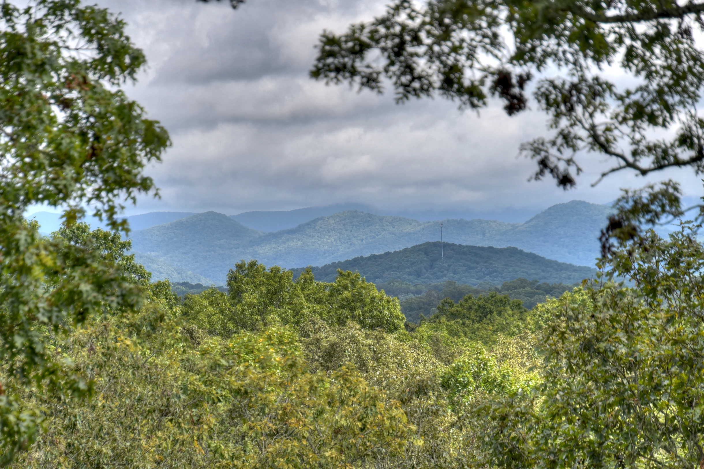 Property in Morganton property photo 2