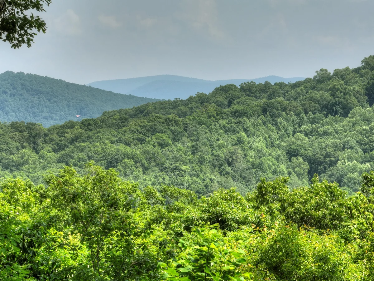 Property in Blue Ridge property photo 2