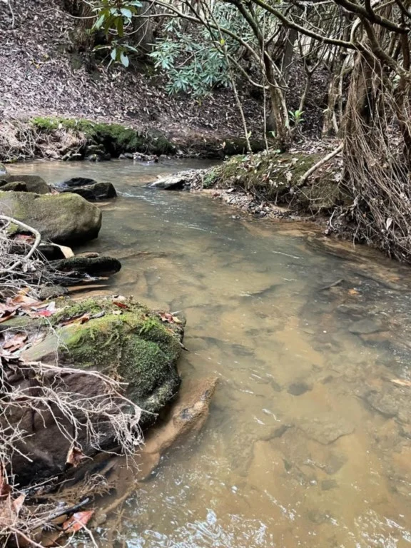 Hidden Creek- Trail to Creek, Hot Tub, Pool Table property photo 3