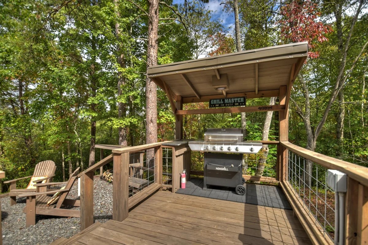 Blueberry Hill- Fire Pit, MTN Views, Grill property photo 3