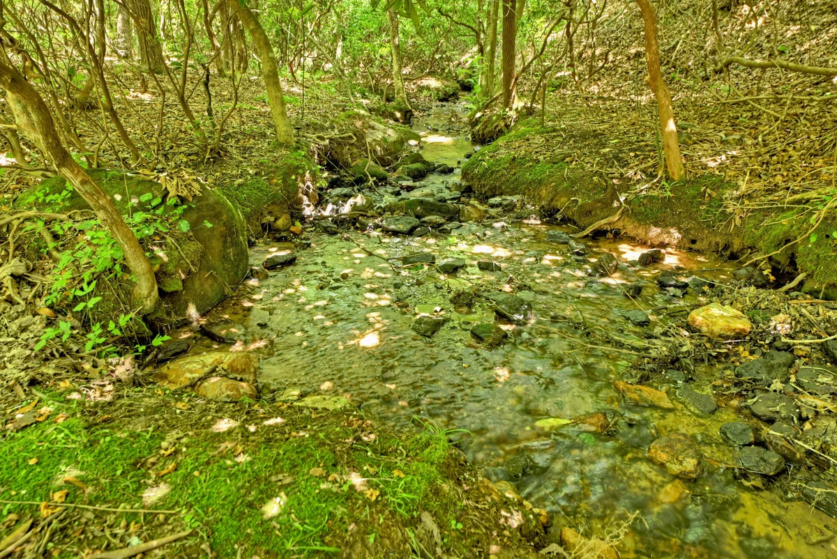 Serenity Creek, Pet Friendly, Hot Tub, Fire Pit property photo 2