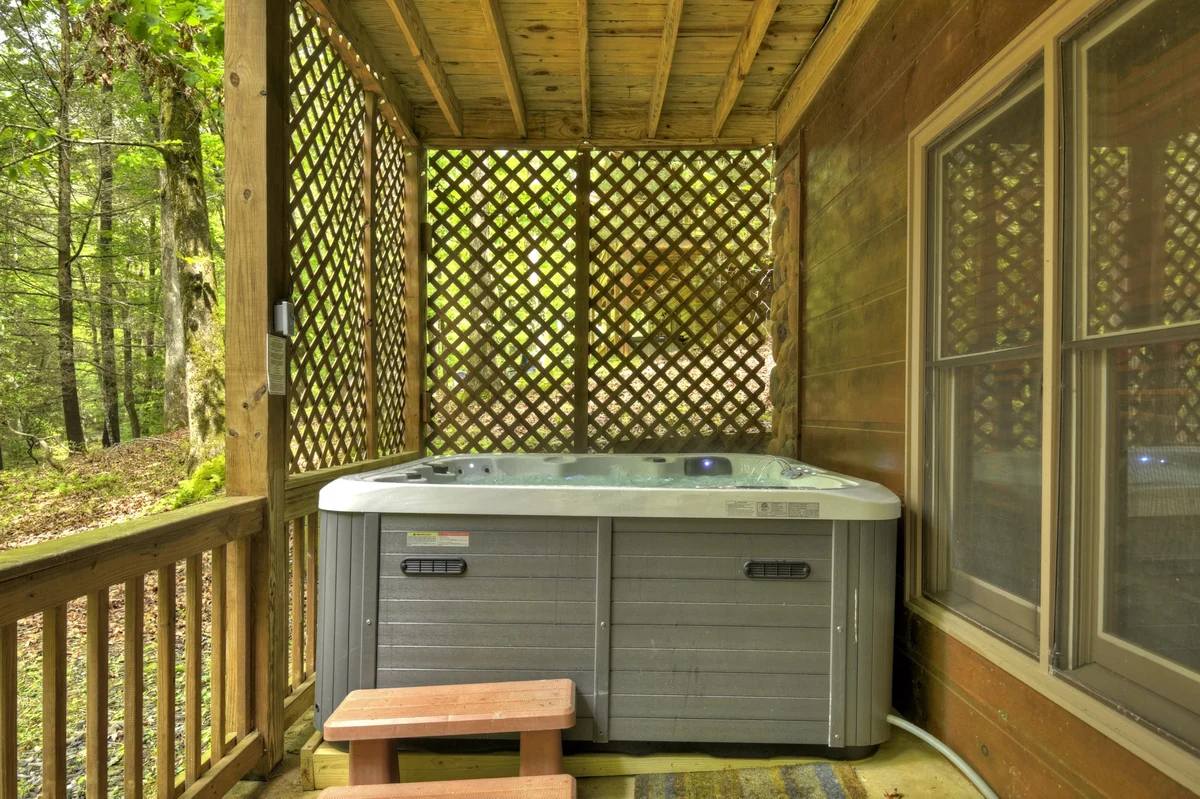 Mountain Lake Delight- Pet Friendly, Hot Tub property photo 2
