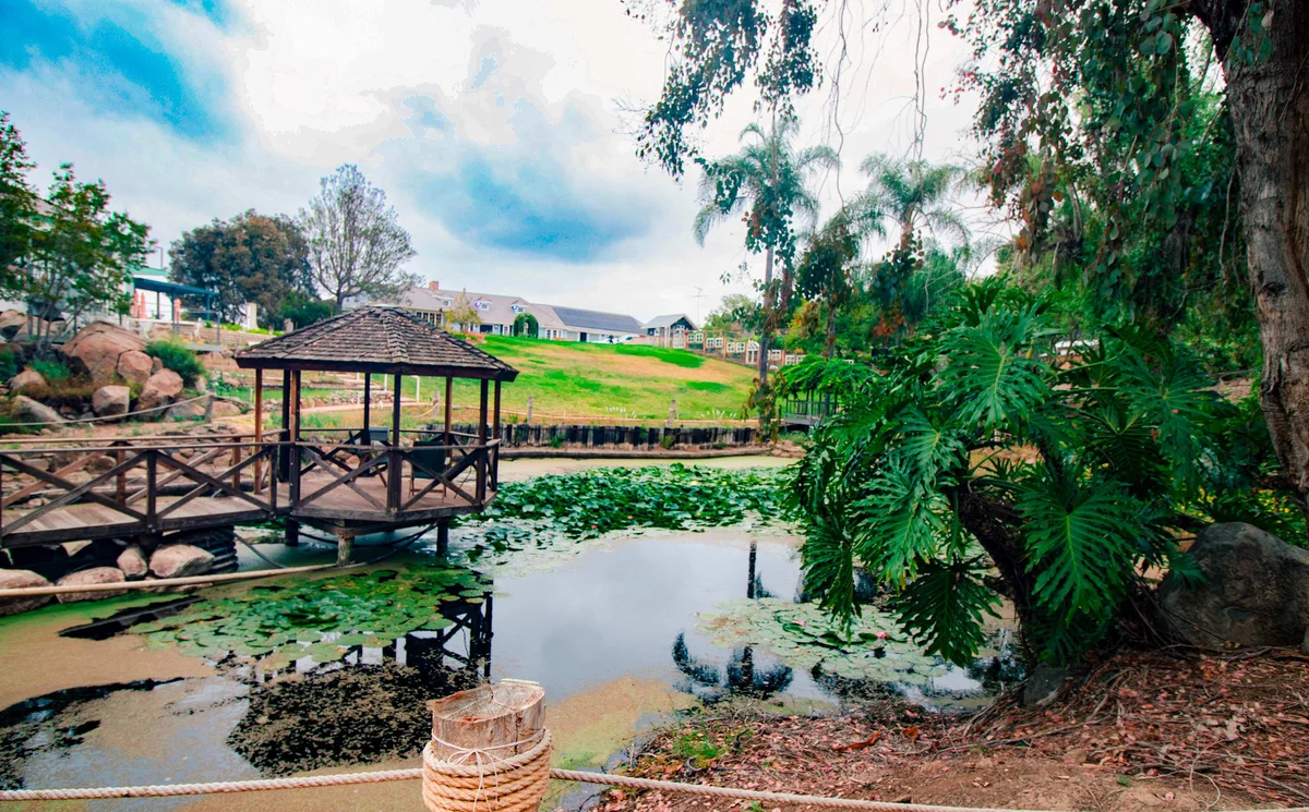Firefly Grove - Pool, Animals, Exotic Fruits, & Whimsy property photo 4