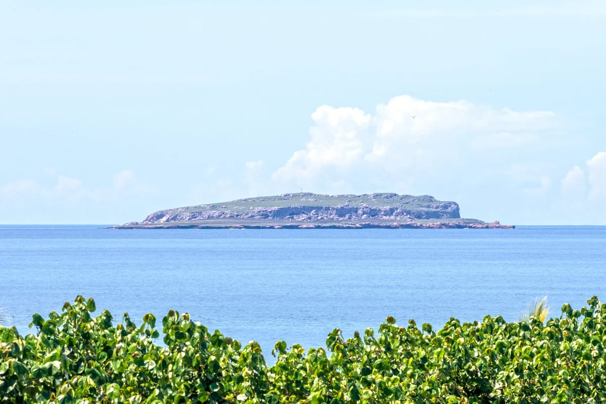 Home in Punta Mita property photo 2