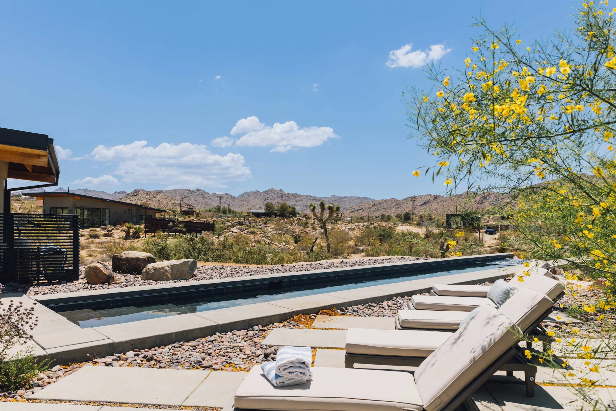 Home in Joshua Tree property photo 2
