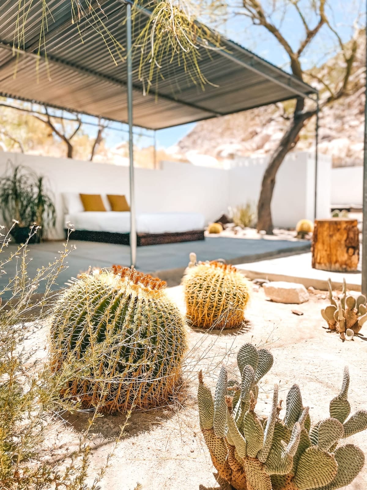 Home in Joshua Tree property photo 5
