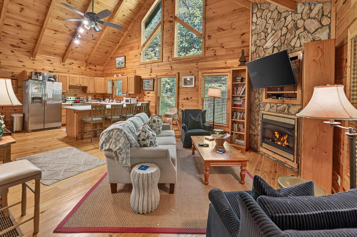 Dancing Bears-Hot Tub, Grill property photo 3