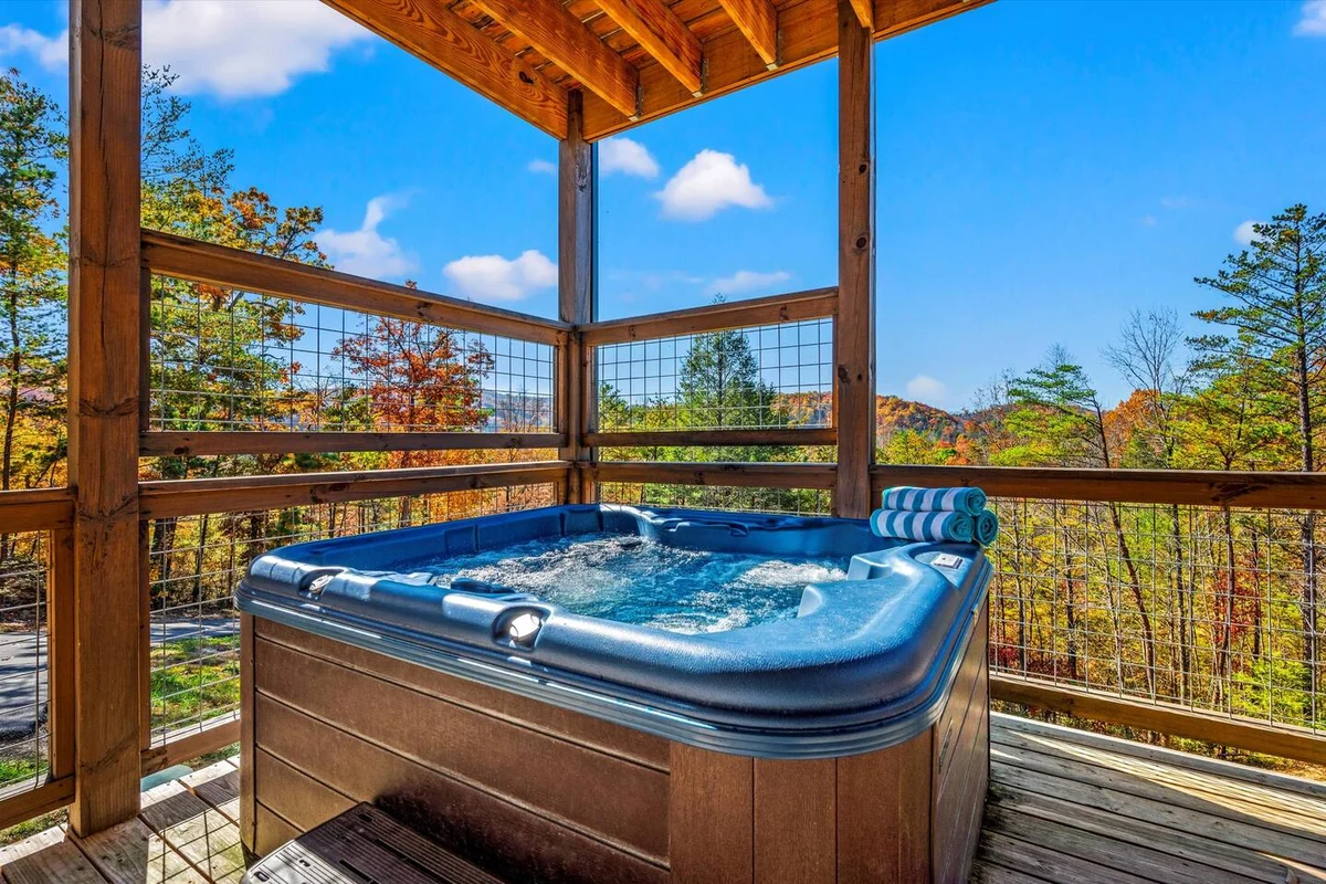 Overlook Swim Lodge property photo 3