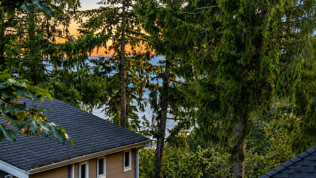 StayInSammamish.com property photo 3