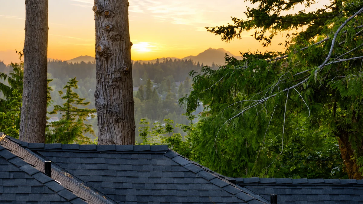Home in Sammamish property photo 5