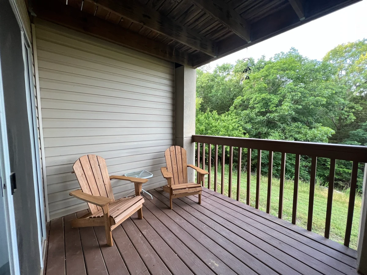 Modern w/ Huge Deck, Near SDC & Lake property photo 5
