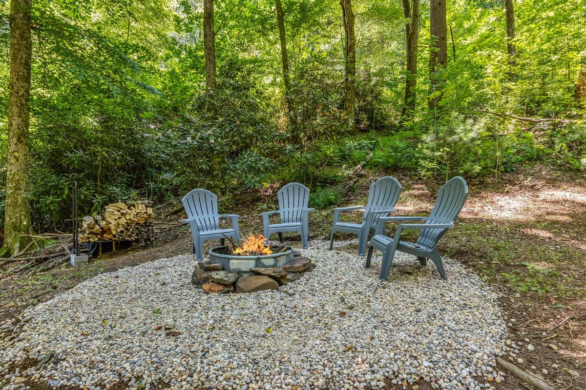 Property in Blue Ridge property photo 3