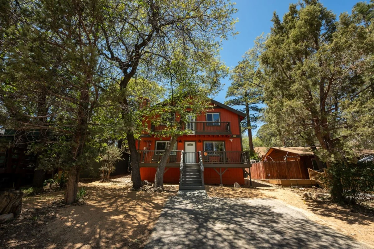 Pups and Pine Lodge, w/ BBQ Deck, Hot tub & Games property photo 4