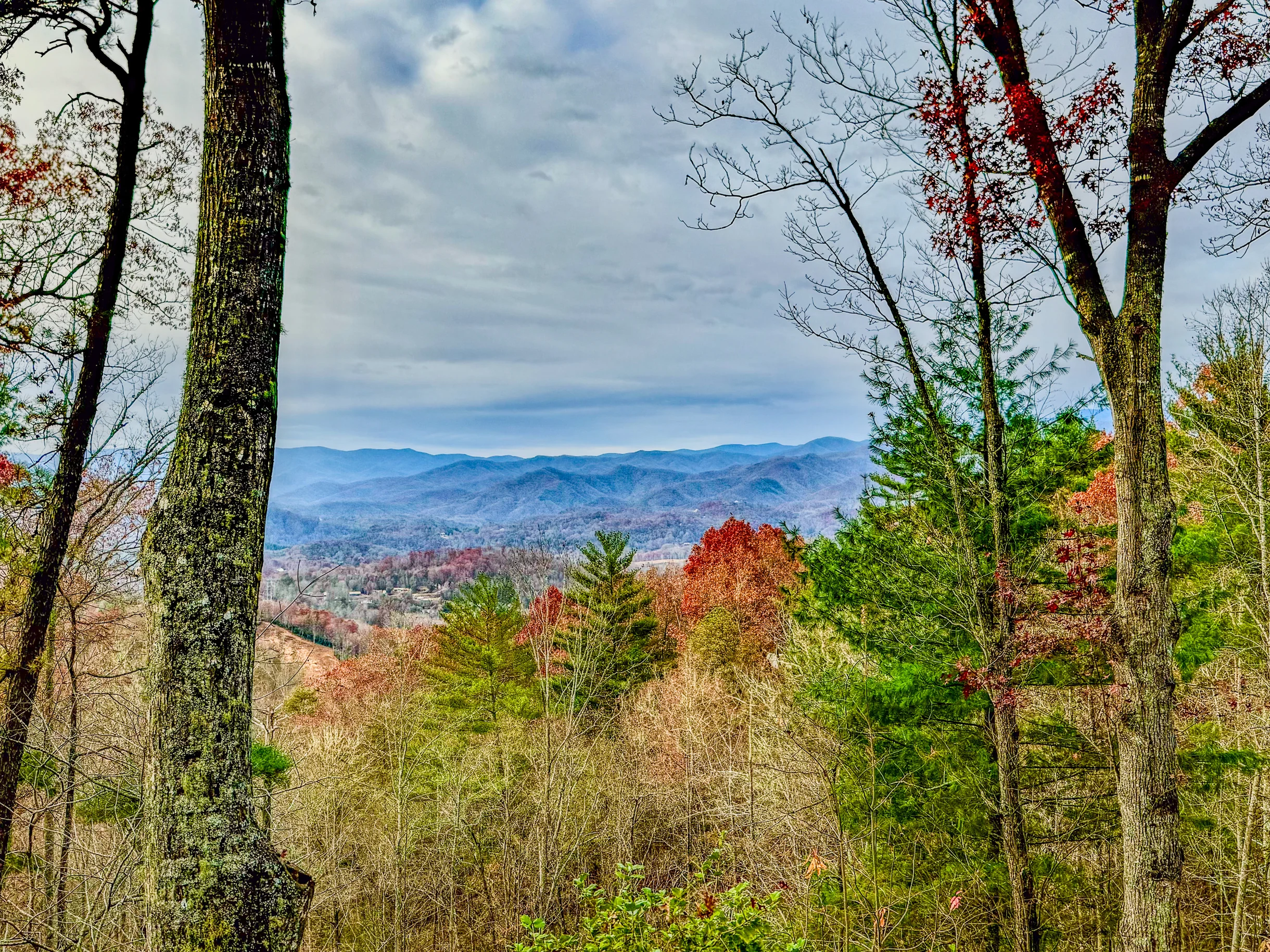 Property in Bryson City property photo 3