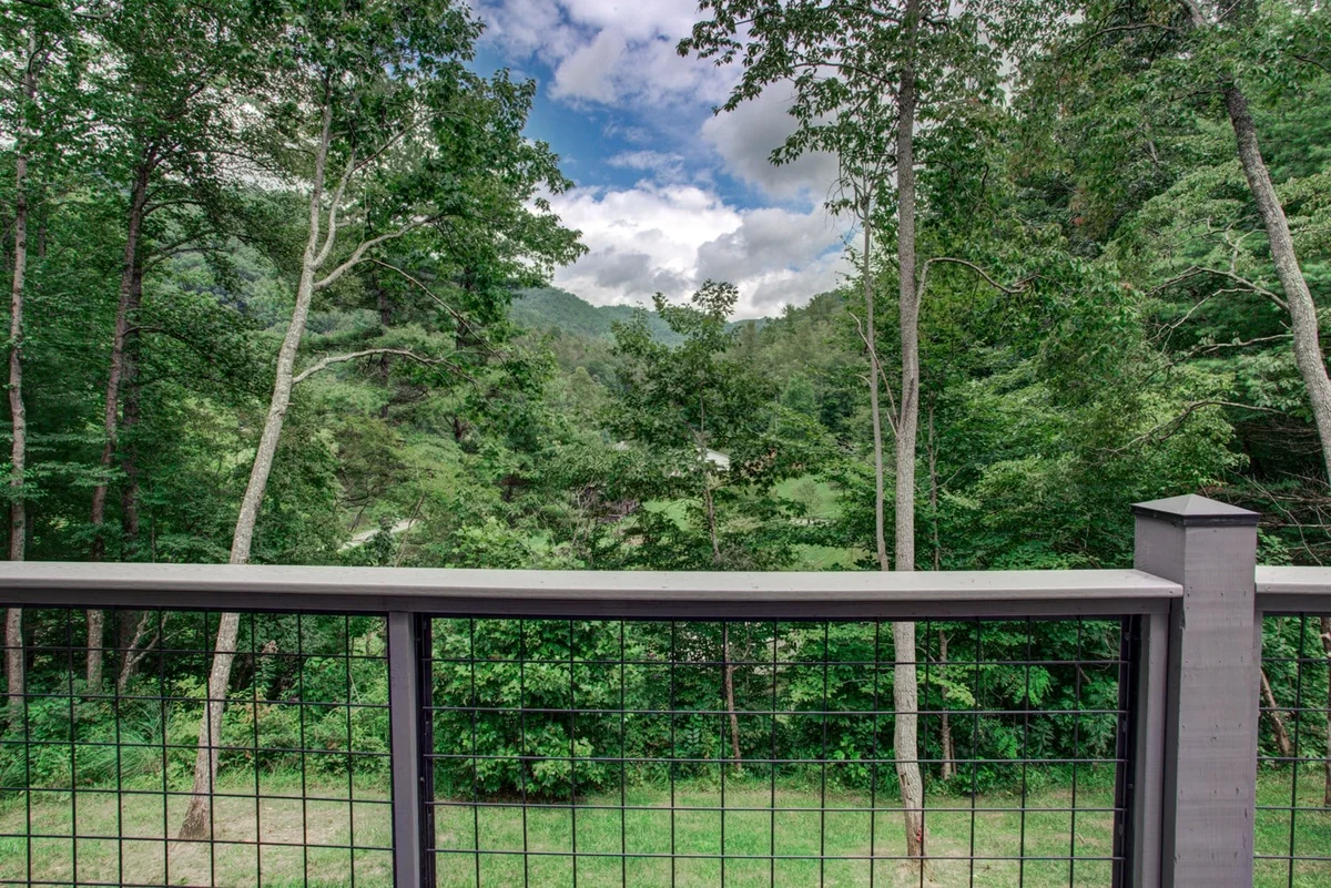 Home in Barnardsville property photo 3