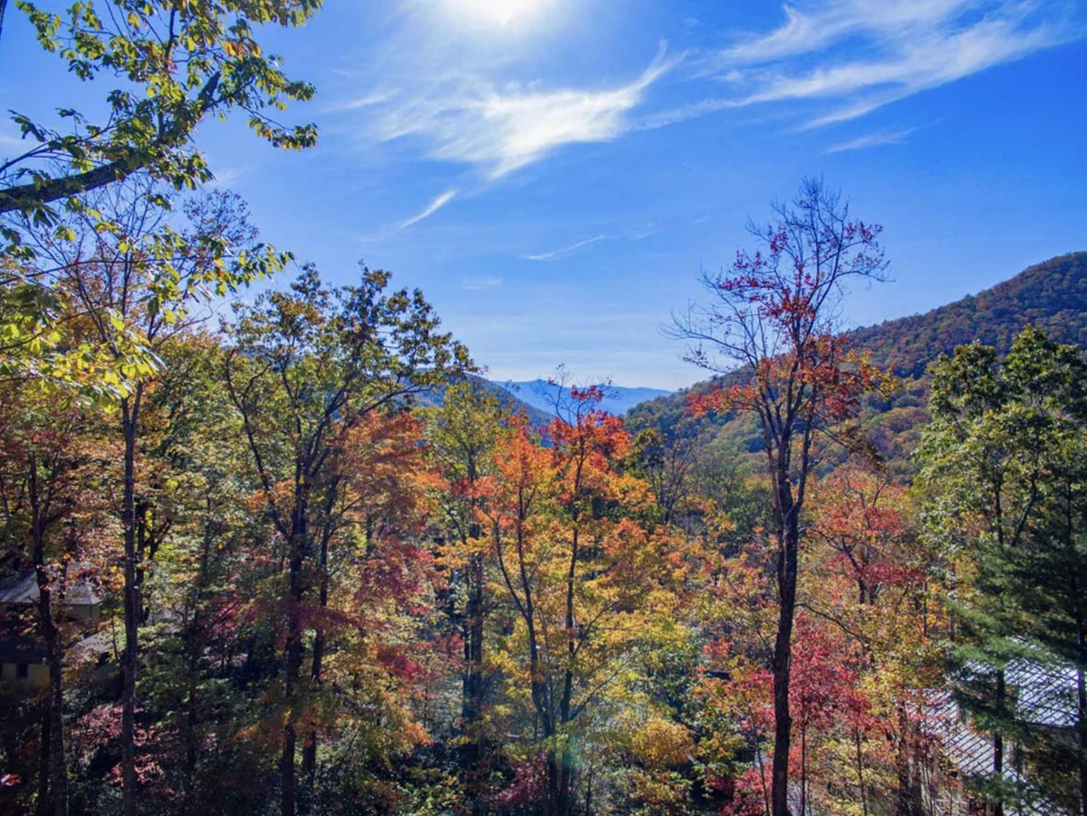 Home in Montreat property photo 5