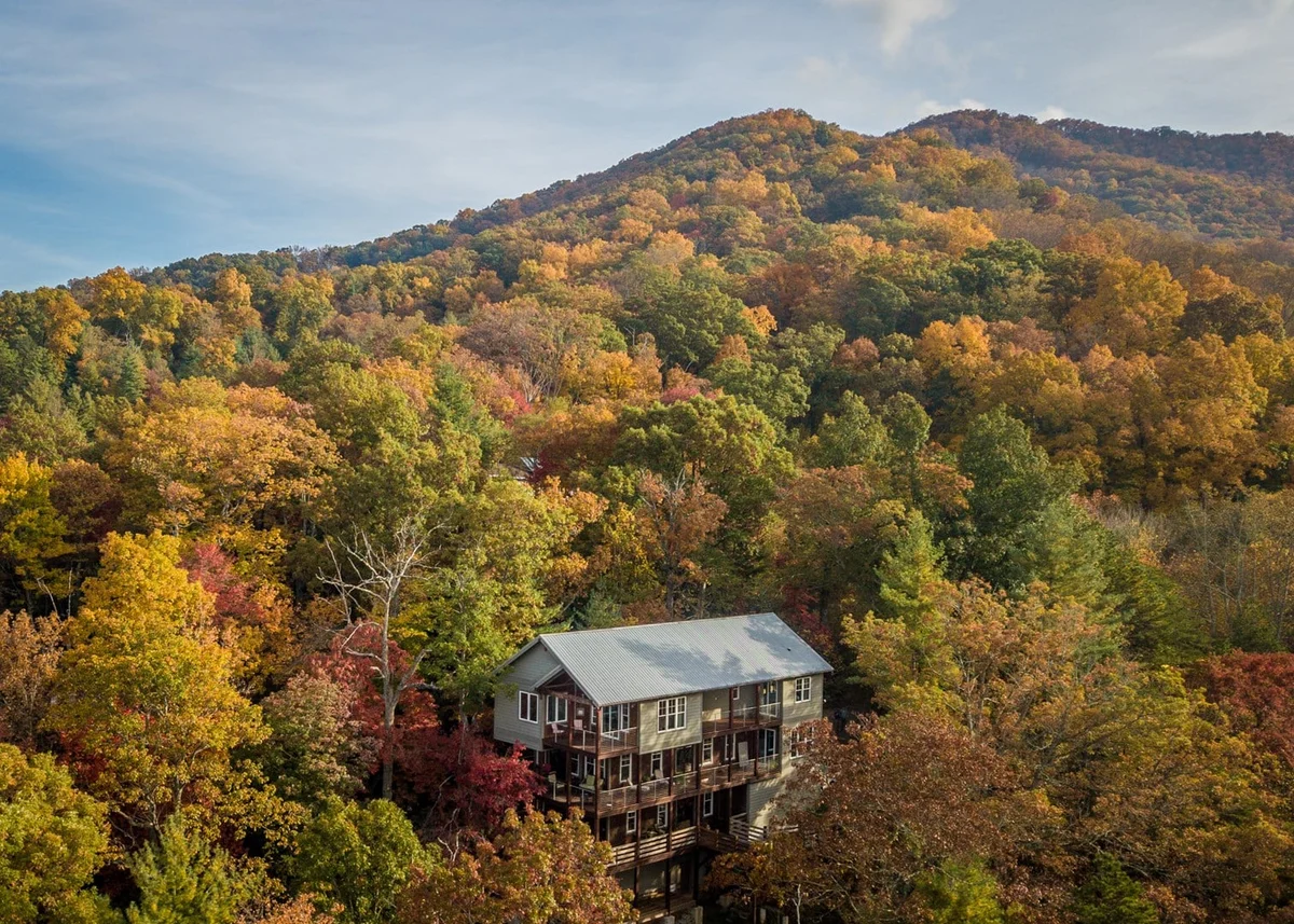 Home in Black Mountain property photo 5
