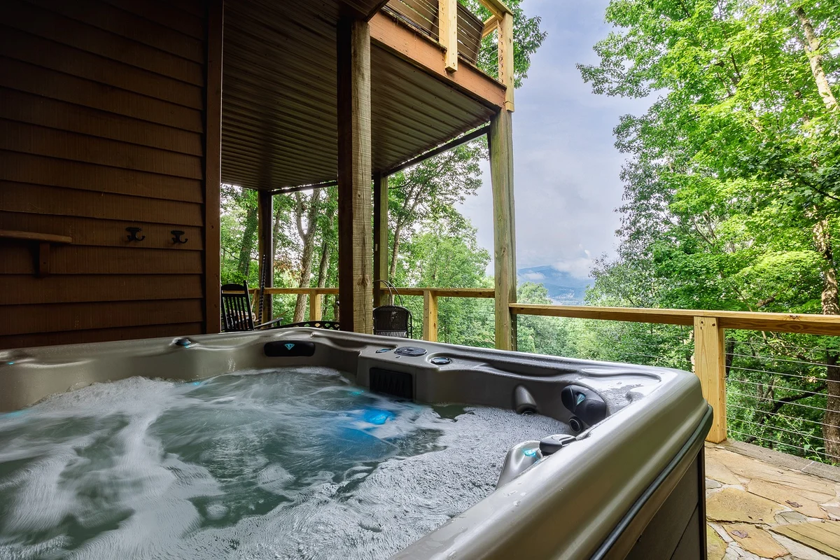 Home in Asheville property photo 5