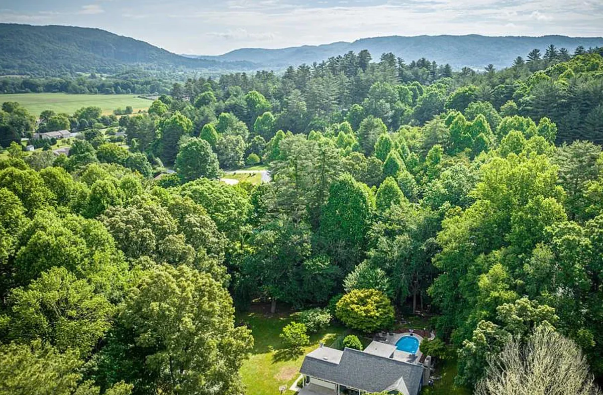 Pisgah Forest Dream property photo 5