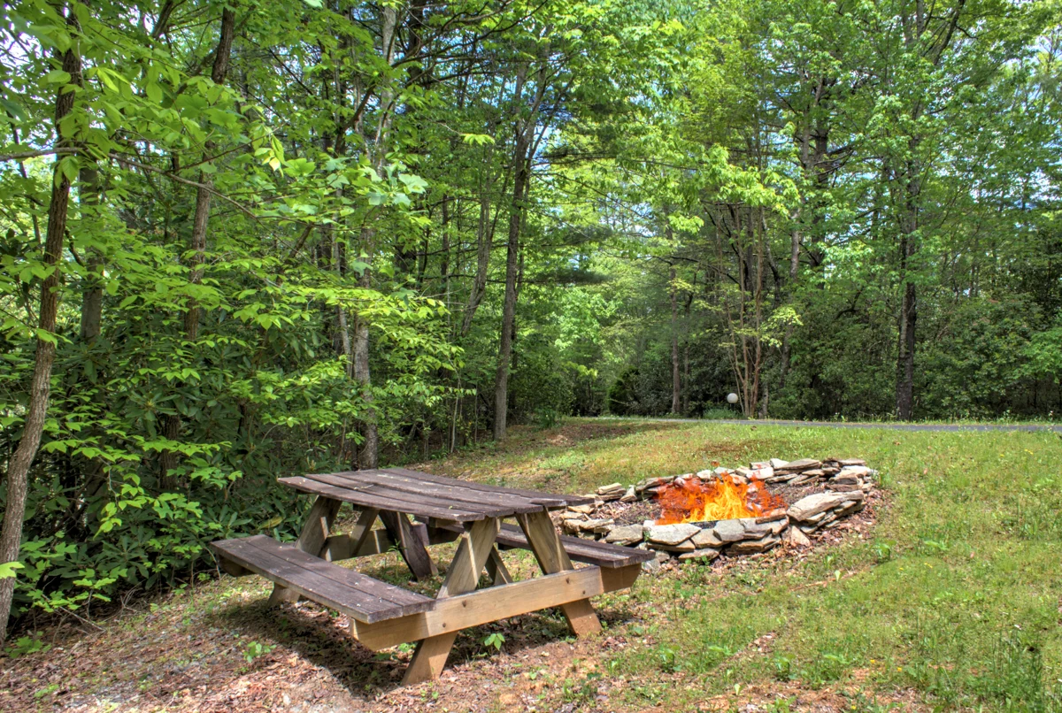 Mountain Chalet property photo 4