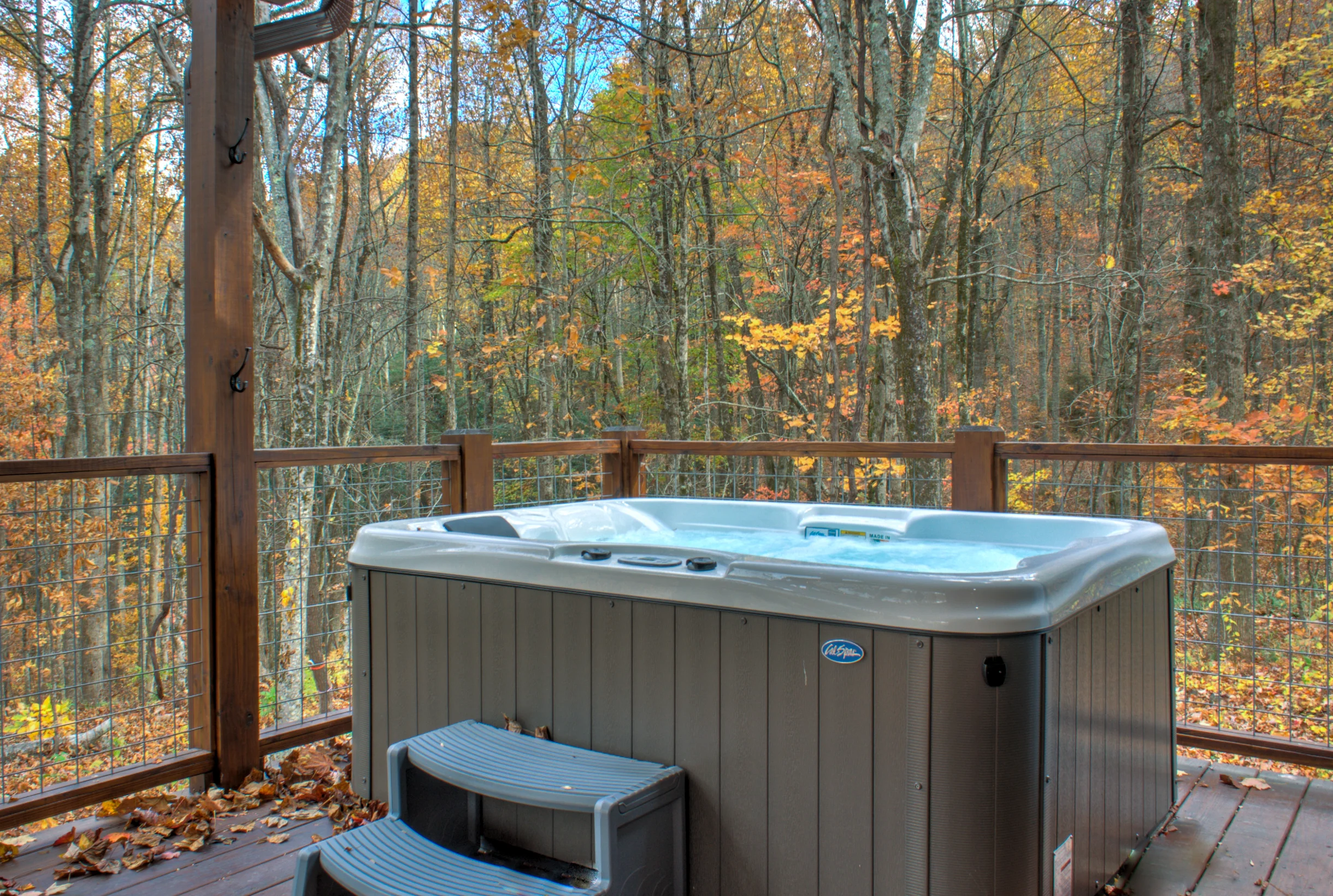Home in Hendersonville property photo 4