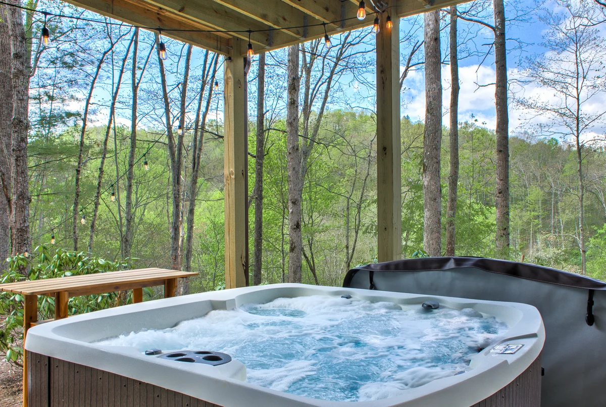 Home in Spruce Pine property photo 4