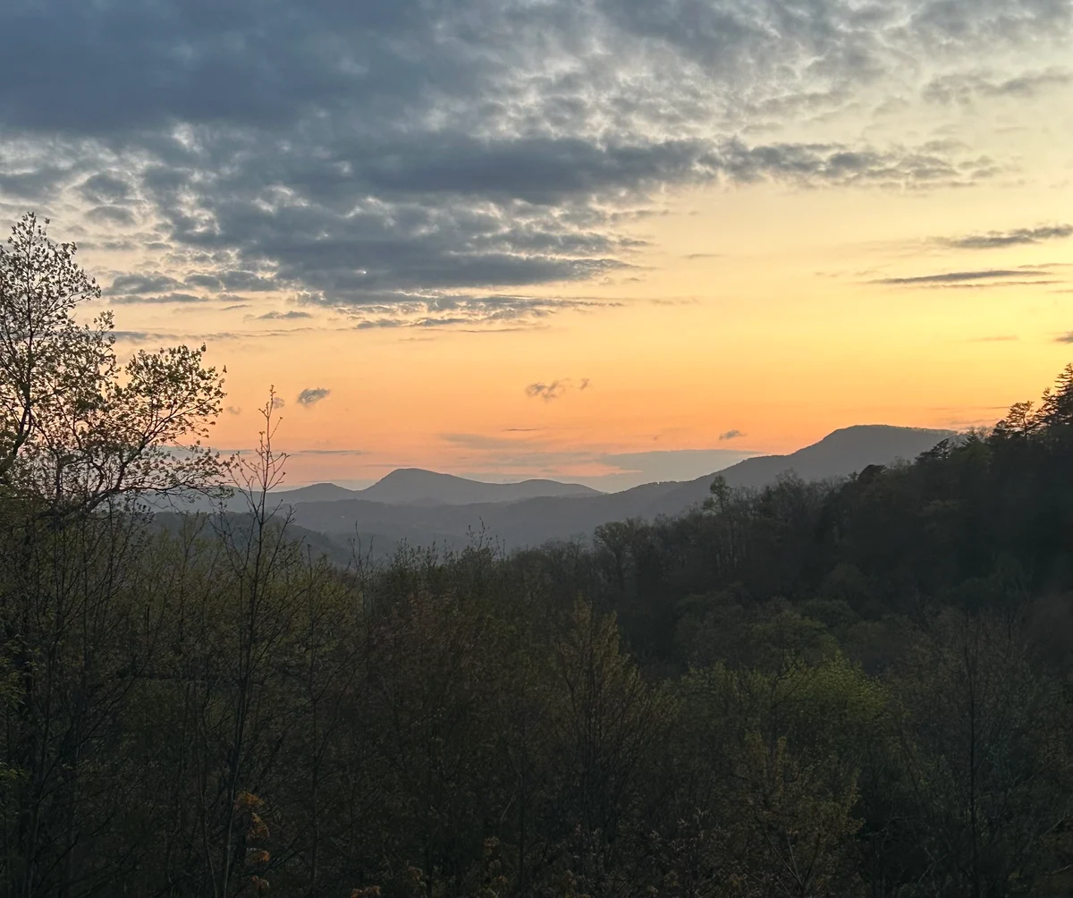 Back Porch Views property photo 5
