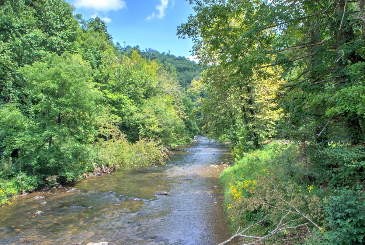 Hot Springs Hideaway property photo 4