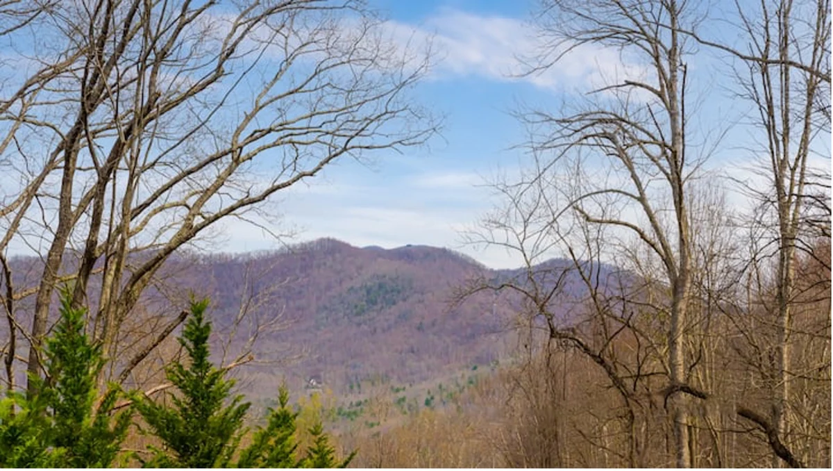 Covey Cottage property photo 5