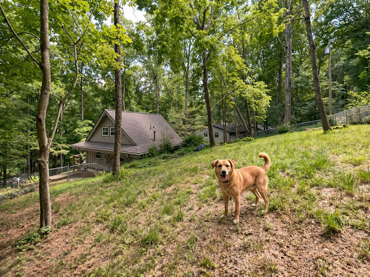 Home in Asheville property photo 5