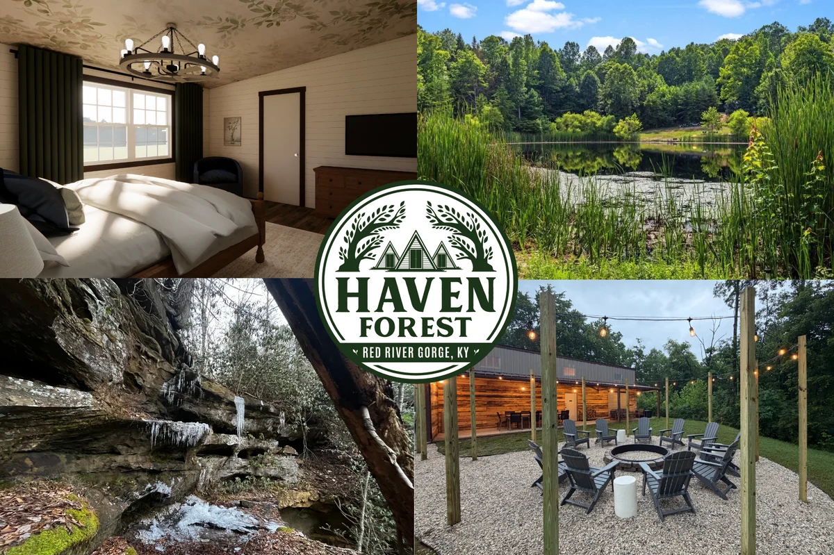 Farmhouse Cabin - Firepit, Lake, Waterfall, 30 private acres property photo 1