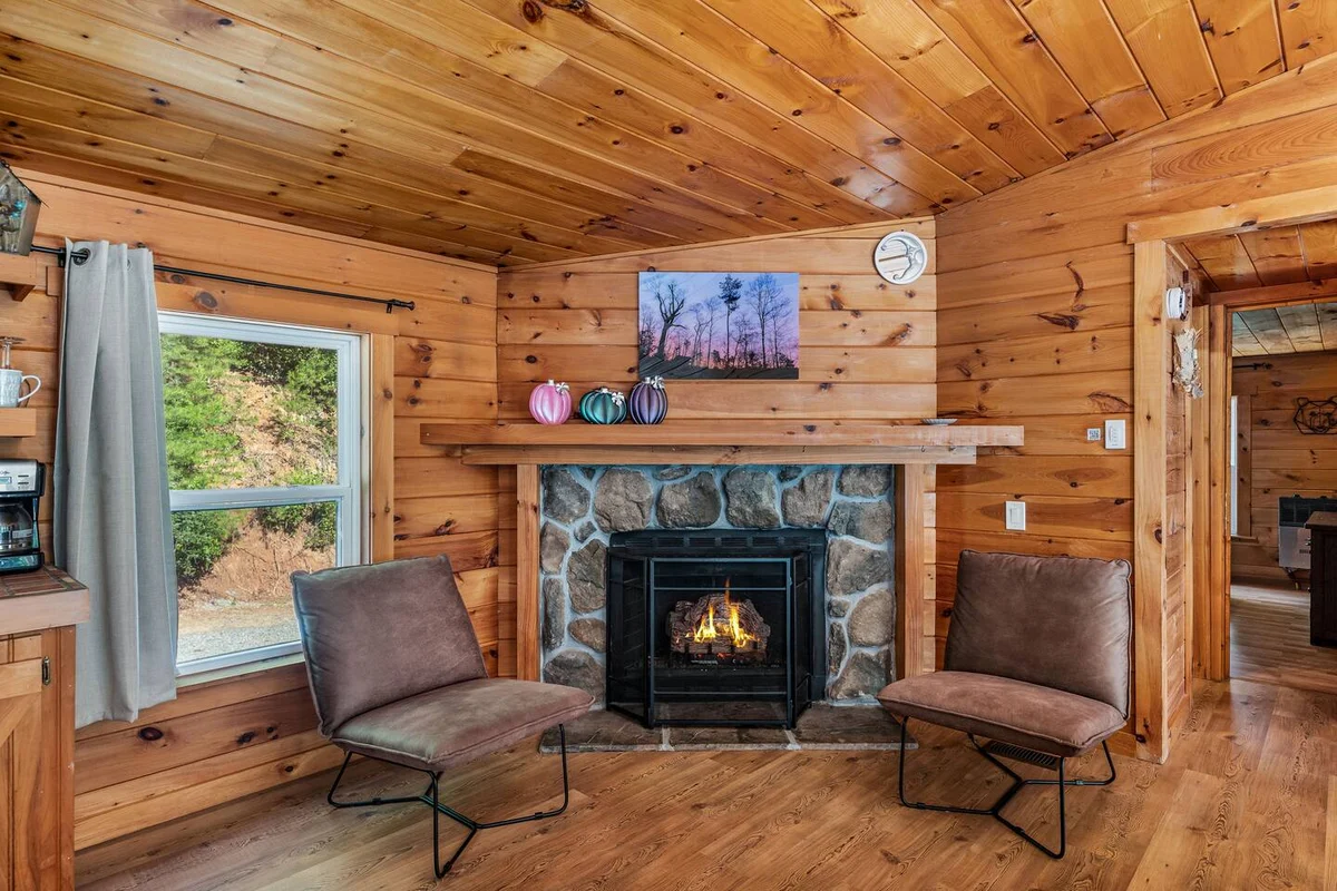 Property in Blue Ridge property photo 3