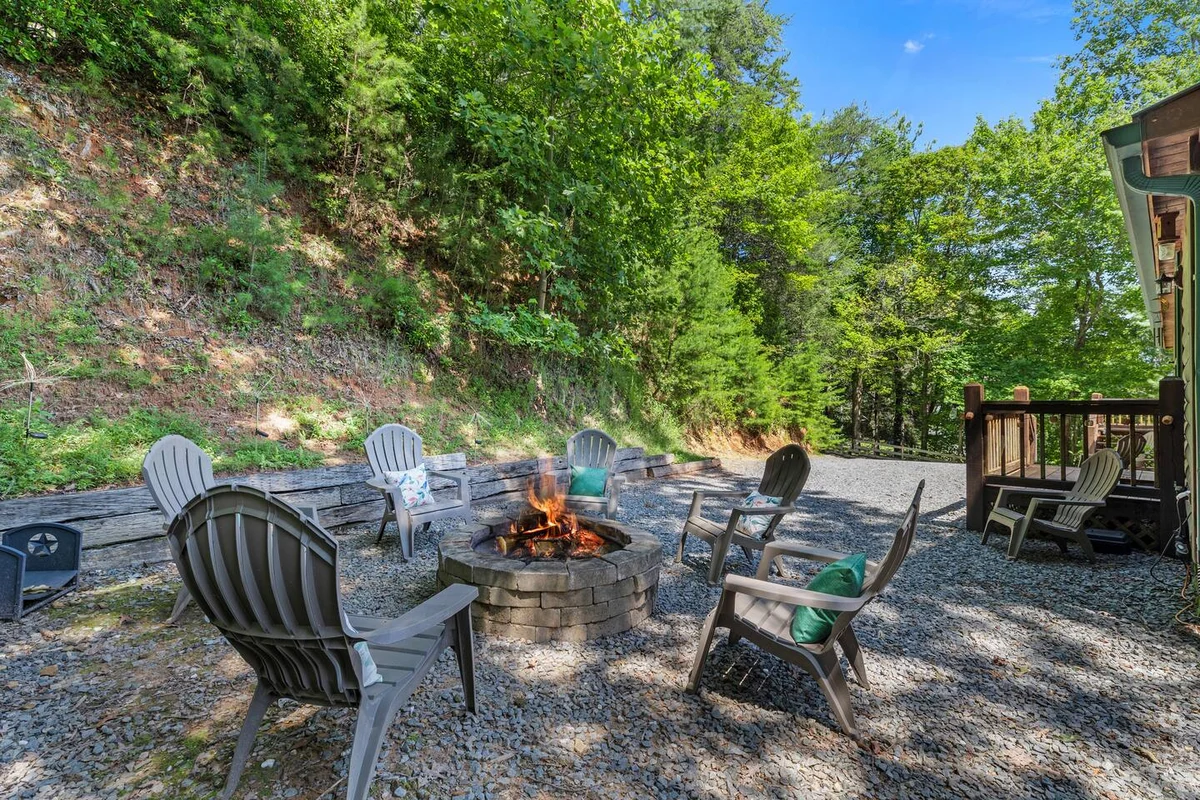 Property in Blue Ridge property photo 4