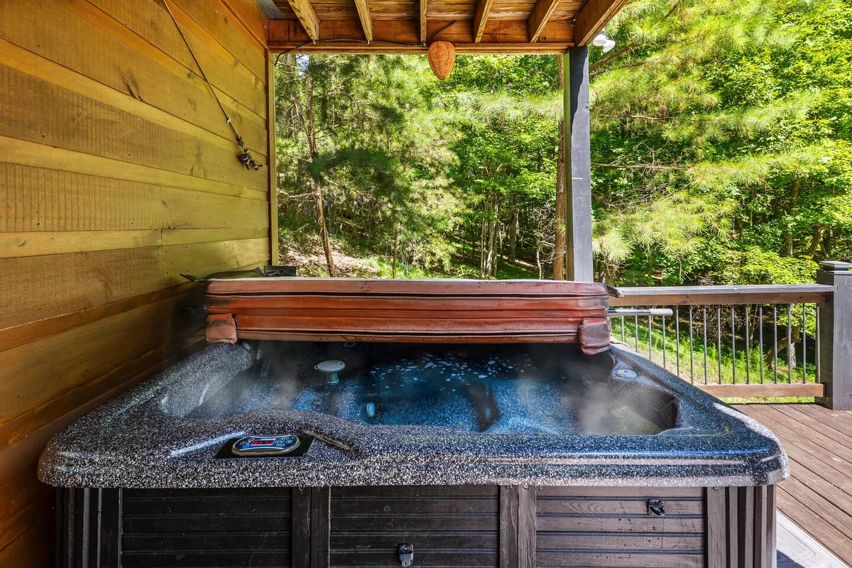 Property in Ellijay property photo 3