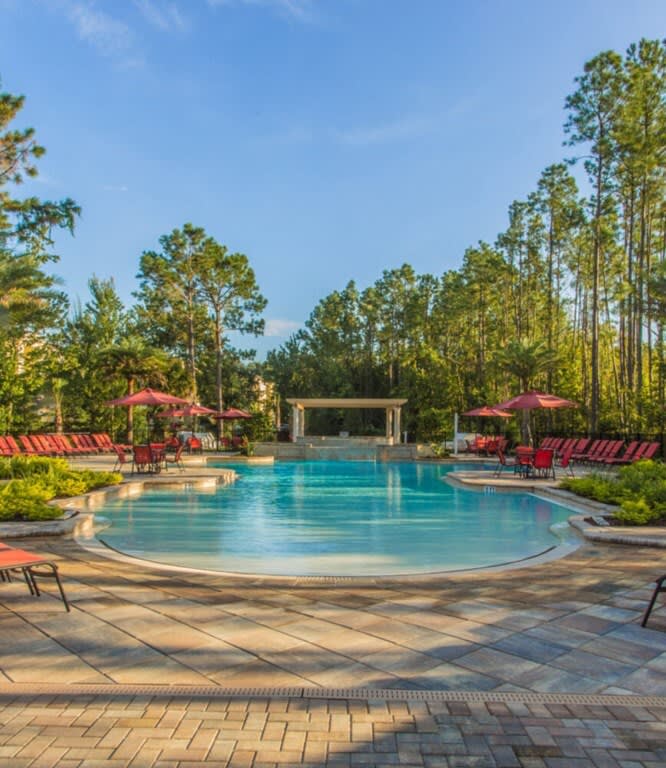 ChampionsGate, Pool & Hot Tub, Near Disney 8165 property photo 3