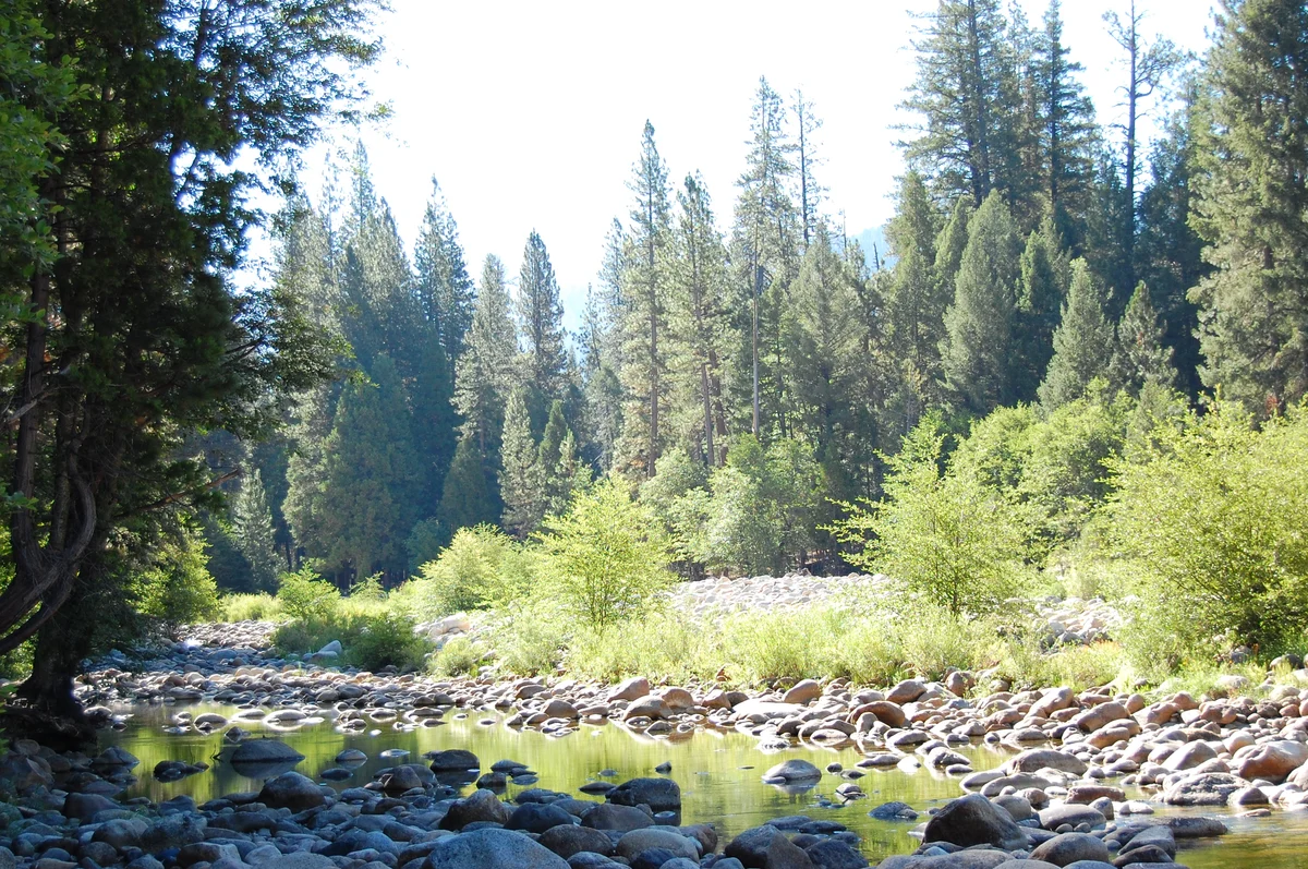 Yosemite's Riverfront Retreat property photo 5
