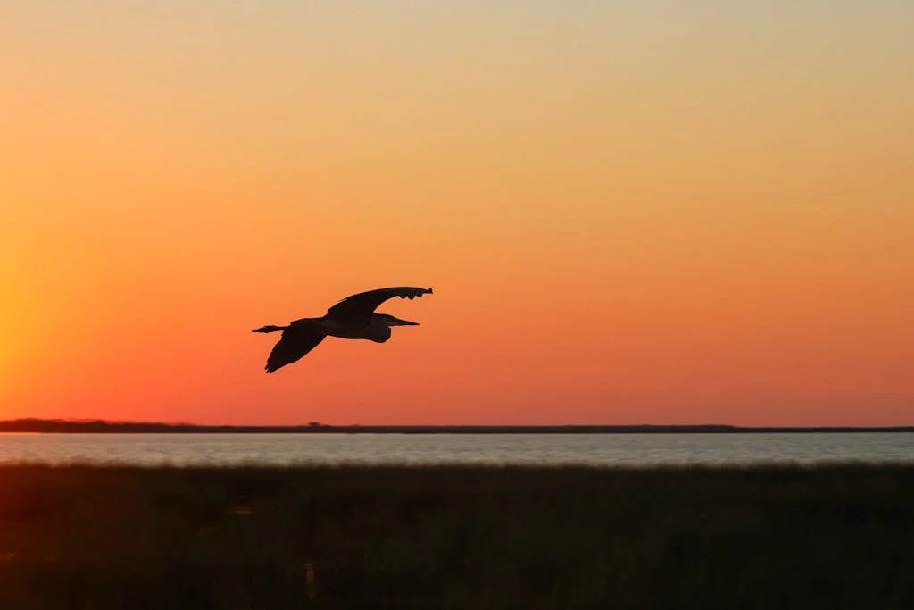 Saltwater Serenity at the Reserve property photo 3