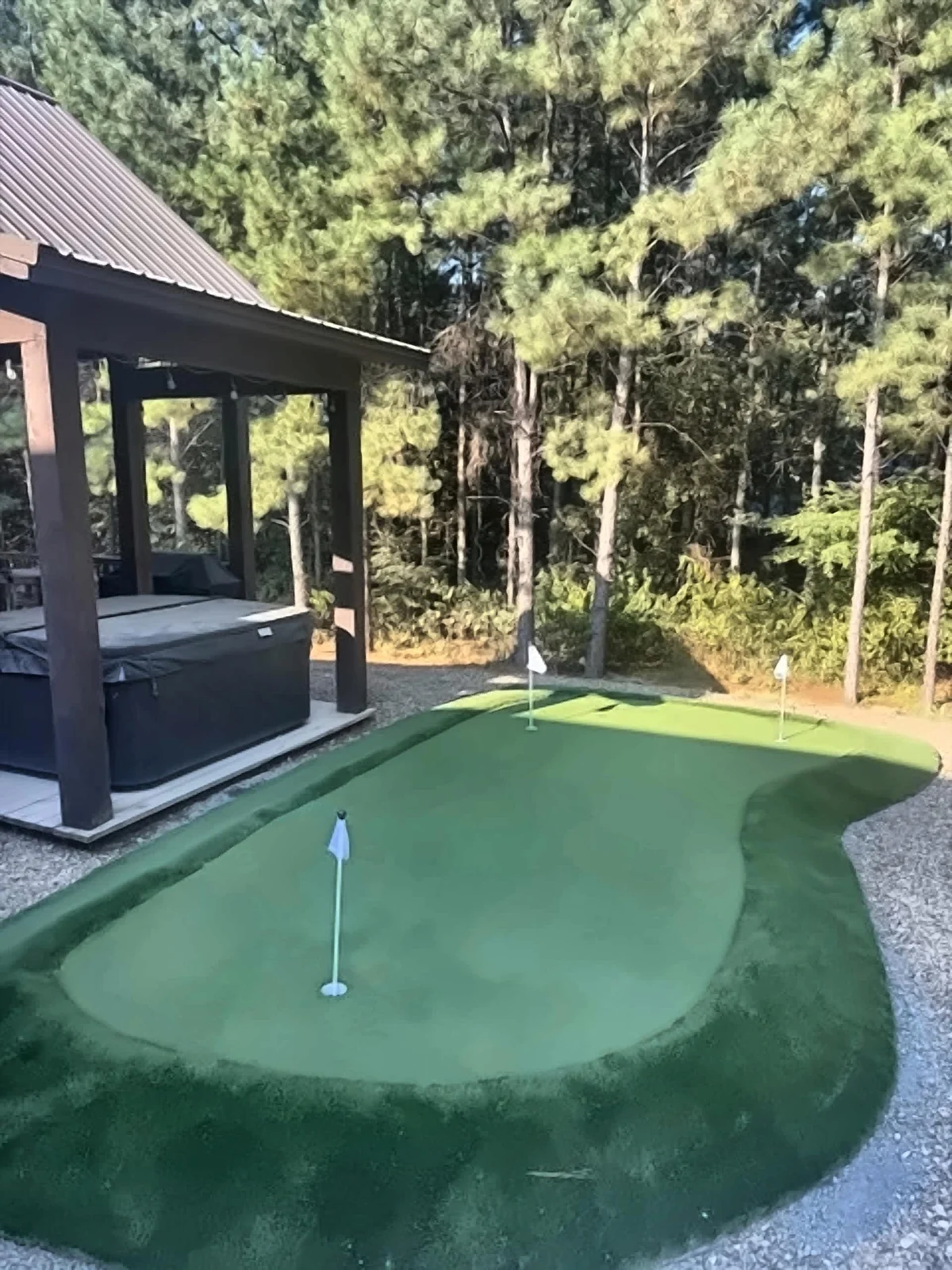Heated Pool, Hot Tub, Sauna & Putting Green property photo 3