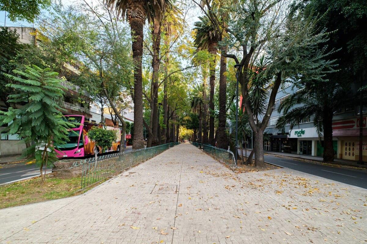 Deluxe 2Bdrm / 2 Bath in the Heart of Condesa property photo 102
