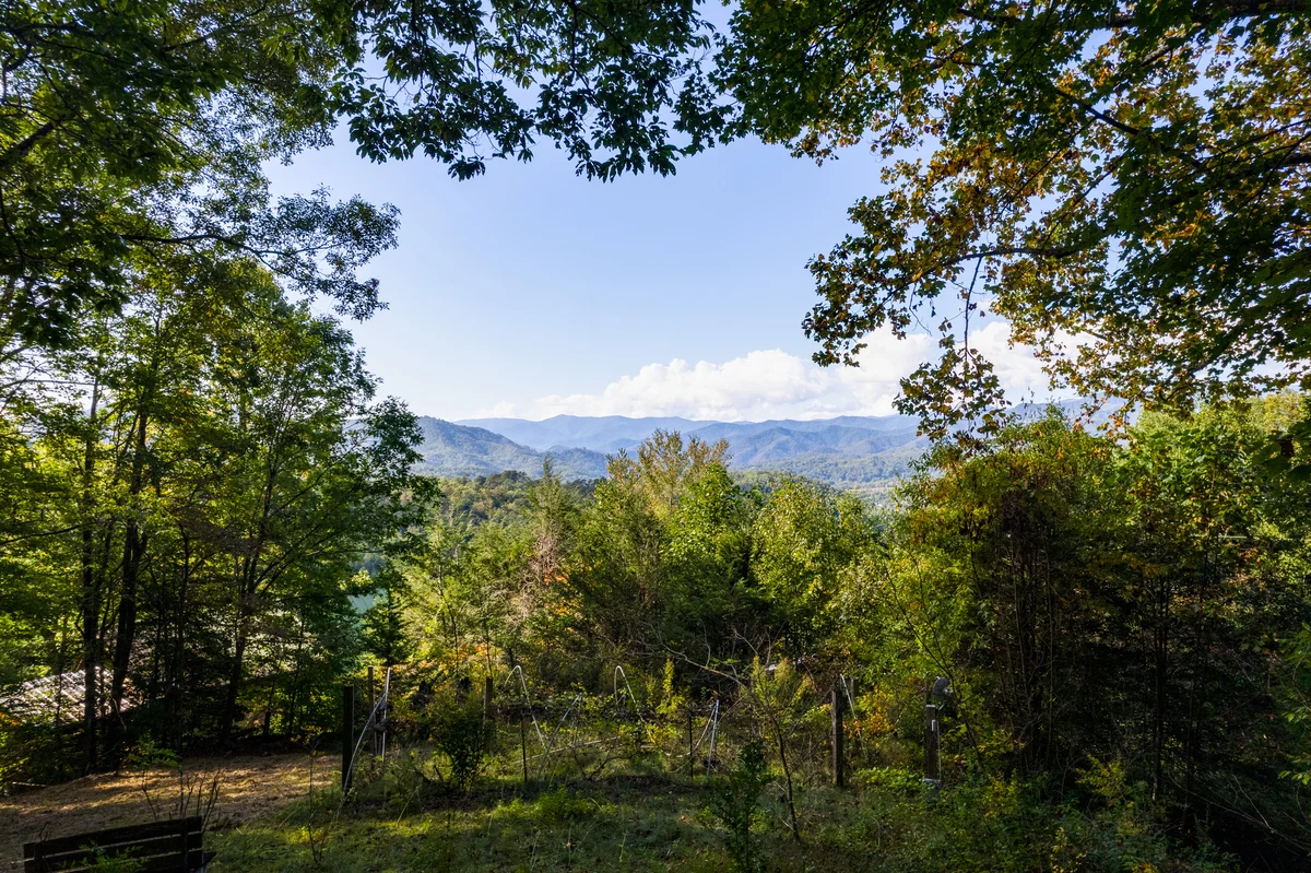 Buffalo Creek Chalet property photo 3
